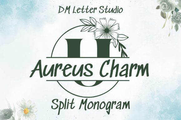 Elevate Brand Identity with Aureus Charm Display Fonts